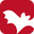 racom/favicon-32x32.png